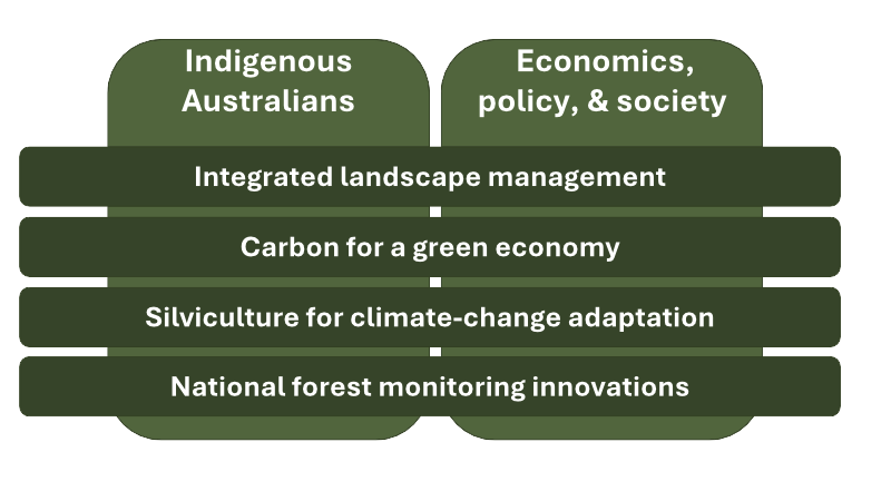 Diagram of CCSF themes.