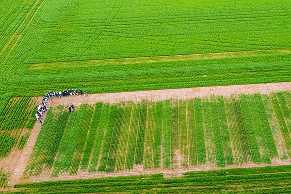 Farm Systems Analysis | Farm Systems Analysis