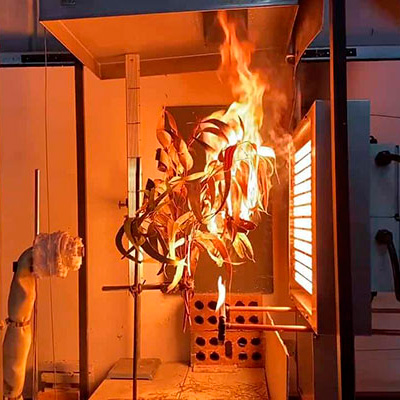Eucalyptus leaves on fire in a lab environment