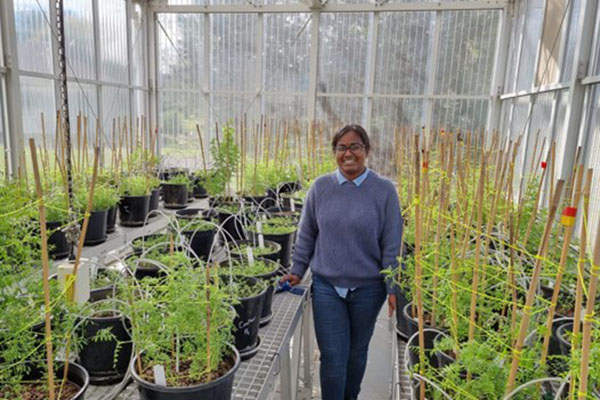 Student standing amongst plants in a greenhouse.