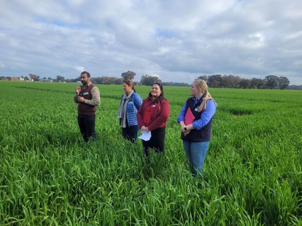 FDF Project team (L to R: Dr Waseem Ashfaq, A/Prof Dorin Gupta, Dr Razlin Azman) and Riverine Plains project officer Ms Rhianna standing amongst green grain in a paddock presenting.