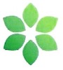 Legacy Packing logo