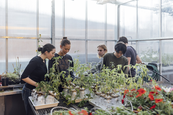 Students working in a greenhouse, surrounded by plants and with large windows behind them