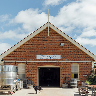 Brick building with sign saying Winery & Cellar door, with black dog standing in front