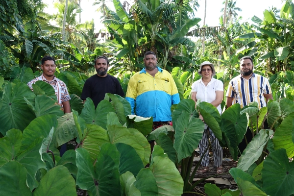 Five people posing standing in a taro growing field.