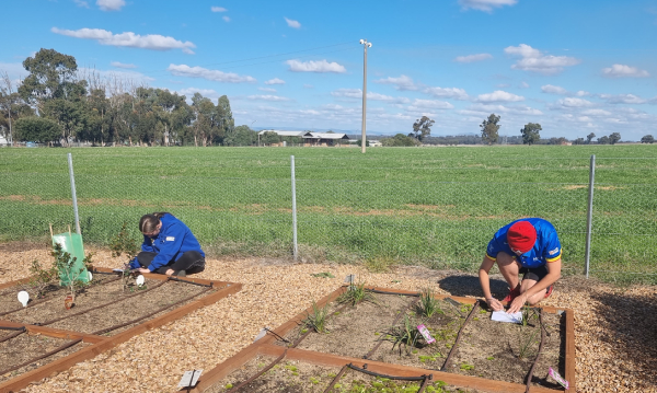 VCAL students looking after the native plant garden at Dookie Campus