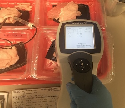 Specialised equipment taking measurements of pieces of pork in containers