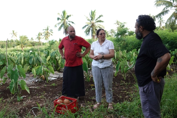 Three people standing in next to a tarrow field in Vitolio.