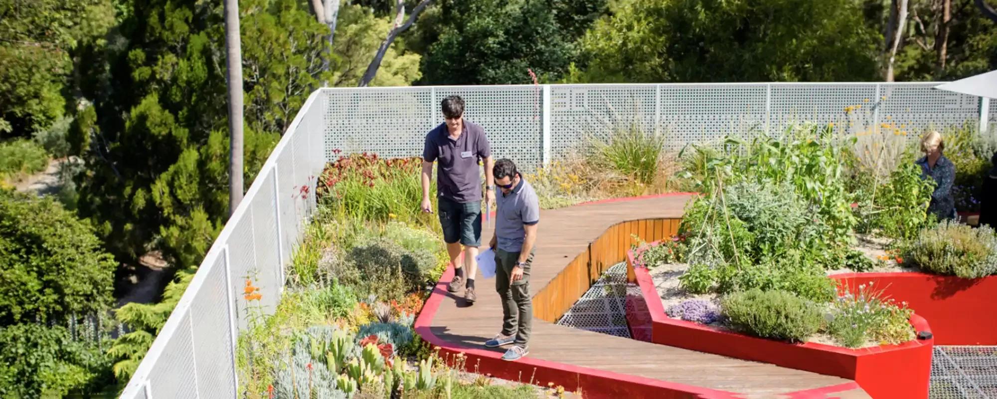 Two people walking on a boardwalk through a rooftop garden