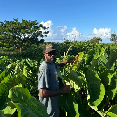 Profile picture of Errol Lehi
