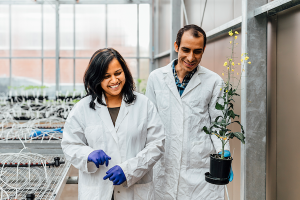 Two people in white coats are carrying a plant through a greenhouse