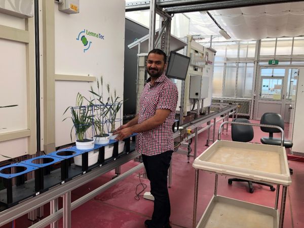 Dr Waseem Ashfaq standing in front of three plants on a conveyor belt in the Phenomics Facility. 