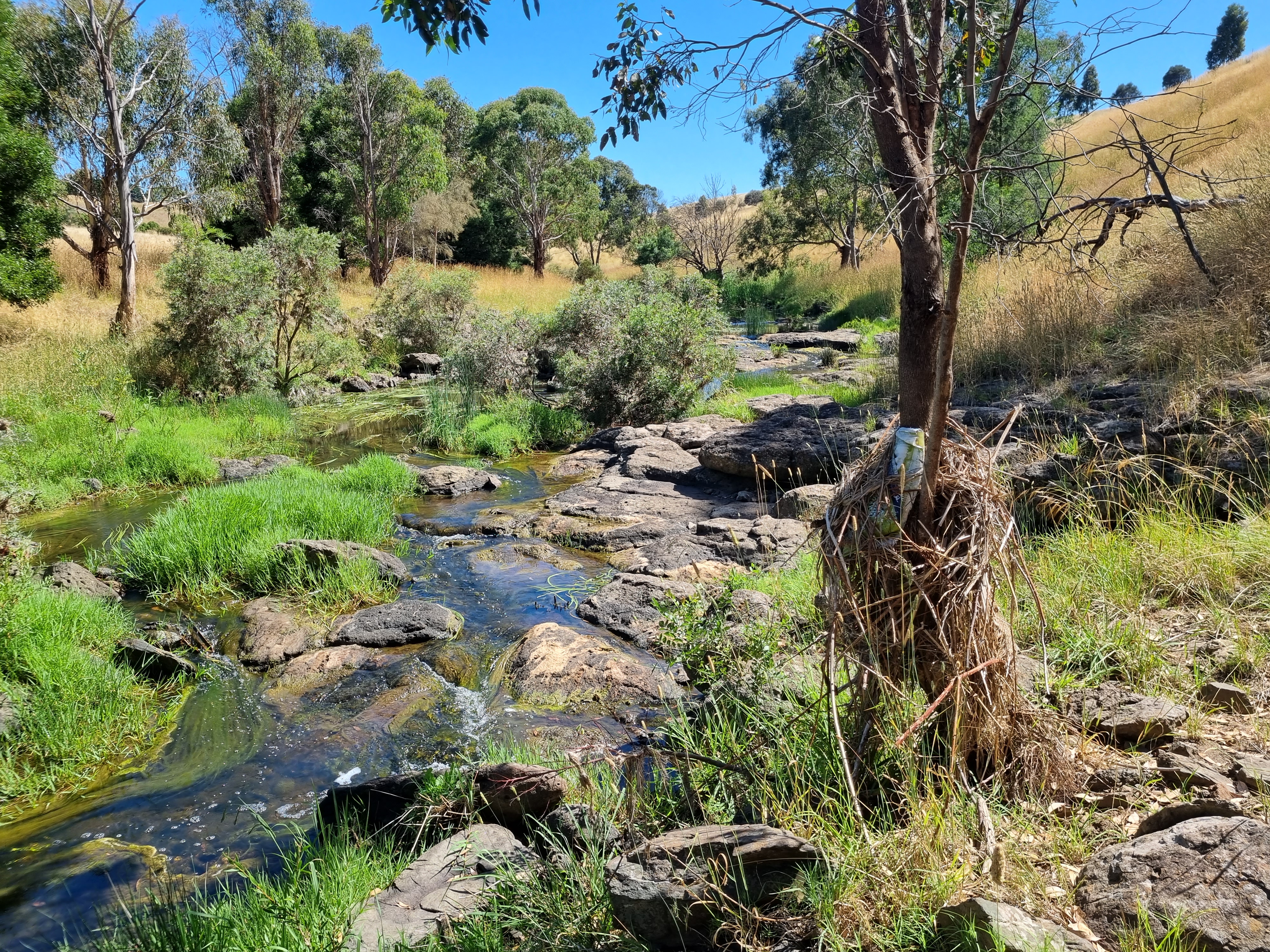 Misc_creek1